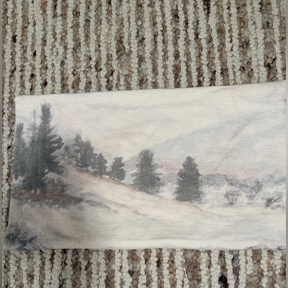 West Elm Brushed landscape pattern pillow 1 cover 12X21 cotton/viscose